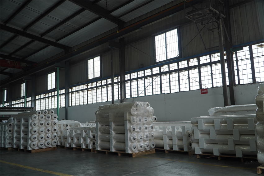 DSC06317 - 副本.JPG