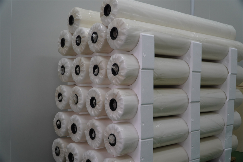 DSC06302 - 副本.JPG