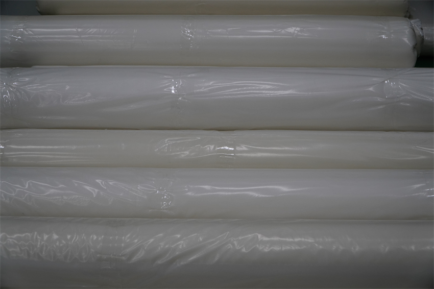 DSC06305 - 副本 (2).JPG